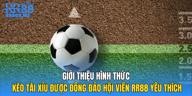 Giới thiệu hình thức kèo tài xỉu được đông đảo hội viên RR88 yêu thích