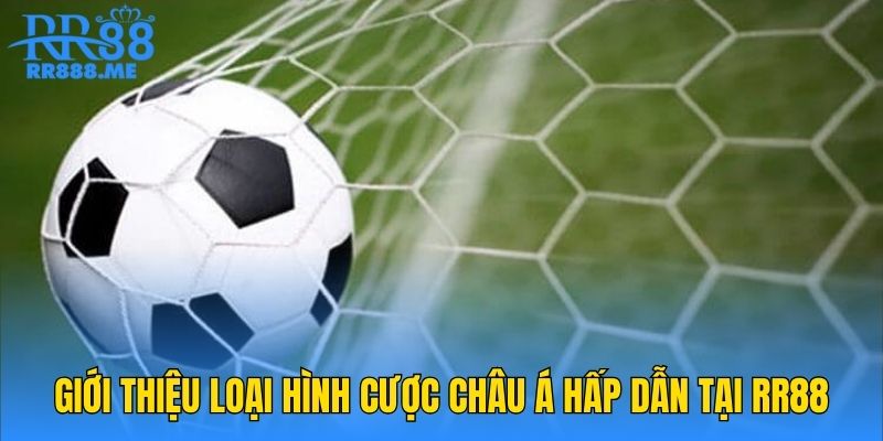 Giới thiệu loại hình cược châu Á hấp dẫn tại RR88