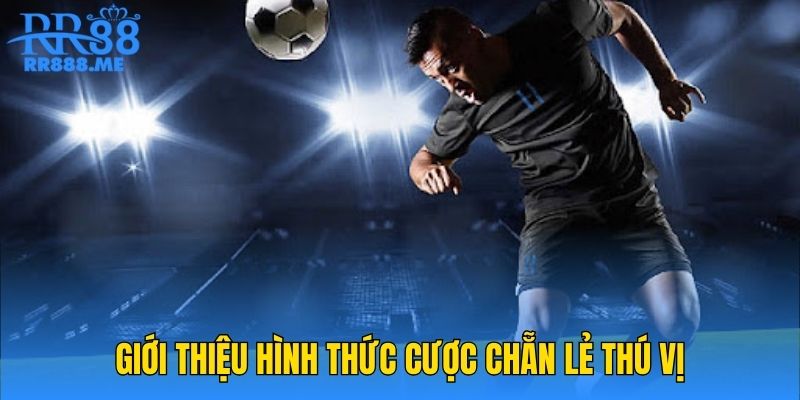 Giới thiệu hình thức cược chẵn lẻ thú vị