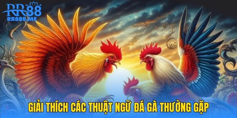 giai-thich-cac-thuat-ngu-da-ga-thuong-gap