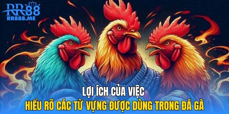 loi-ich-cua-viec-hieu-ro-cac-tu-vung-duoc-dung-trong-da-ga