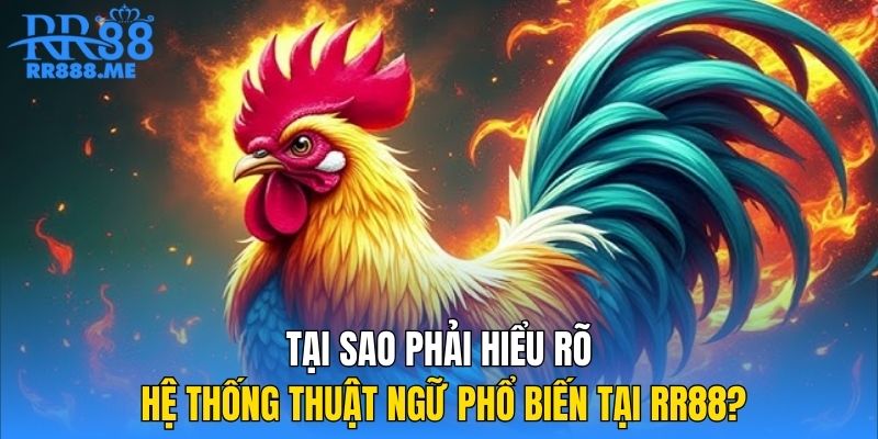 tai-sao-phai-hieu-ro-he-thong-thuat-ngu-pho-bien-tai-rr88